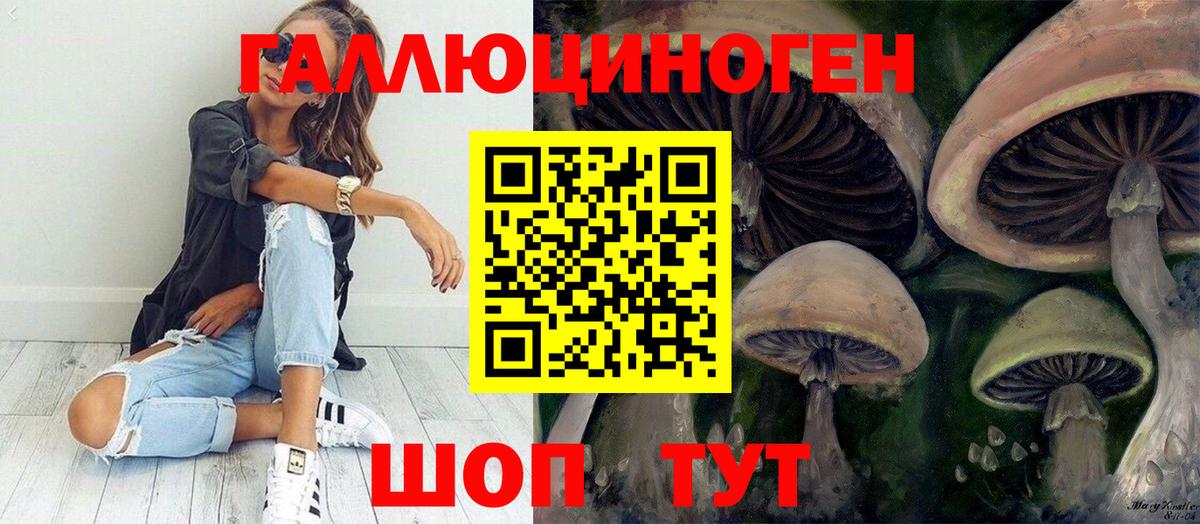 Озёры  Псилоцибиновые грибы мухоморы  Вход с VPN 